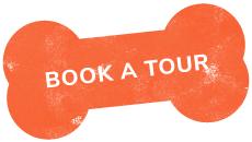 https://everydogclub.com/wp-content/uploads/2019/07/text_03.png