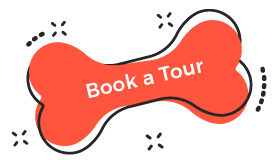 https://everydogclub.com/wp-content/uploads/2019/08/book_tour.png