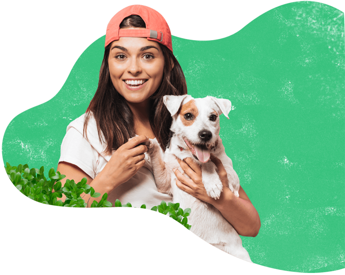 https://everydogclub.com/wp-content/uploads/2019/08/hero_image_13.png